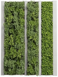 Concrete frame Vertical garden plant and moss garden wall decor box 66
