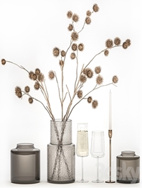 Bouquet of dried flowers from thorn branches burdock with a vase and a glass of sparkling wine. 253