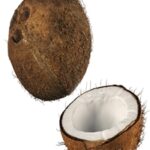 4k coconut 02