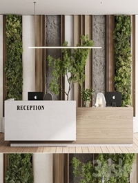 Reception Desk and Wall decor - office furniture 22 corona