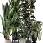 Indoor Plants in Ferm Living Bau Pot Large – Set 740