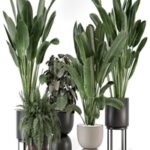 Indoor Plants in Ferm Living Bau Pot Large – Set 1256