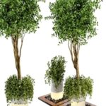Outdoor Plants bush & Tree Combination of wood & concrete Pot – Garden Set 45