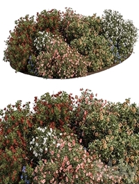 Garden colorful Flower Bush - Set 452