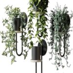 Ampel plants in wall planters CIGALES WALL by Miniforms