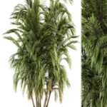 Tree Green Palm bunch – Set 32