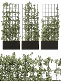 Vertical Garden Partiton - Set 101