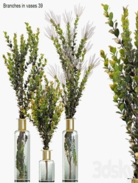 Branches in vases 39