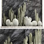 Desert plants cacti with wall rock, black pebbles, cereus, echinocactus, Barrel cactus. Plant collection 1279