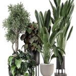 Indoor Plants in Ferm Living Bau Pot Large – Set 1204