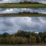 Cloudy panorama with autumn trees. 2 pcs