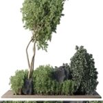 Collection Outdoor Indoor plant 67_green garden plant-tree-bush corona