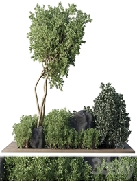 Collection Outdoor Indoor plant 67_green garden plant-tree-bush corona