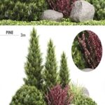 Set Plants 223 – Outdoor Garden