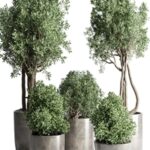 Collection Outdoor Indoor plant 53 concrete dirt vase pot tree bush