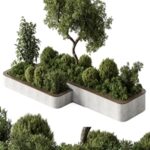 Plant Box – Outdoor Plants 588