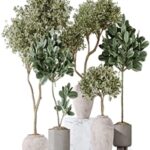 Elastica Abidjan Melany and Mission Olive Tree Vase 18