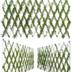 Ivy Wall 10 Ivy Wall 10