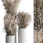 indoor Plant Set 406 – Dried Plant Set in Pot