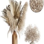 pampas set 04 pampas set 04