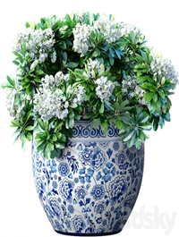 Bouquet of white flowers in a potted vase for decoration