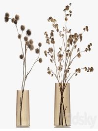 A set of two bouquets of dried flowers, twigs, thorns, vase, eucalyptus. 245.