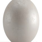 Seamless decorative plaster material