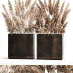 Dried flower bouquet of dried reeds in a rusty metal pot from pampas grass, Cortaderia. 273.