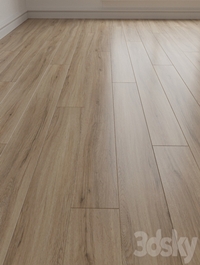 Laminate. Parquet. 77