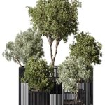 indoor Plant Set 380- Tree and Plant Set in pot